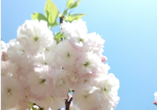 抖音最新正能量奋斗短句，很火的励志暖心说说(图6)