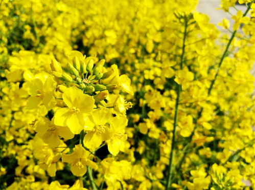 抖音最新正能量奋斗短句，很火的励志暖心说说(图7)