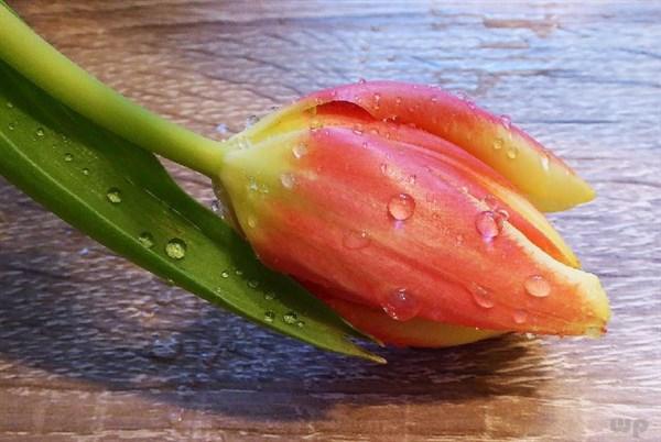 2020努力奋斗的句子，总有一句能激励到你(图2)