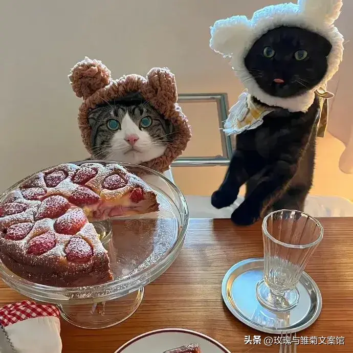 文案|关于一家人在一起的暖心文案(图5)