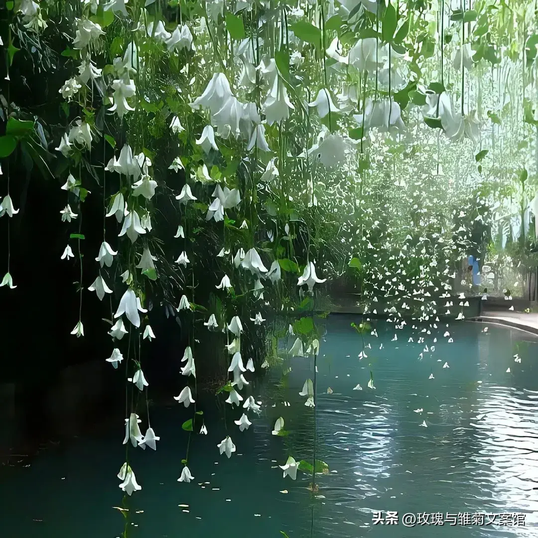 文案|关于一家人在一起的暖心文案(图6)