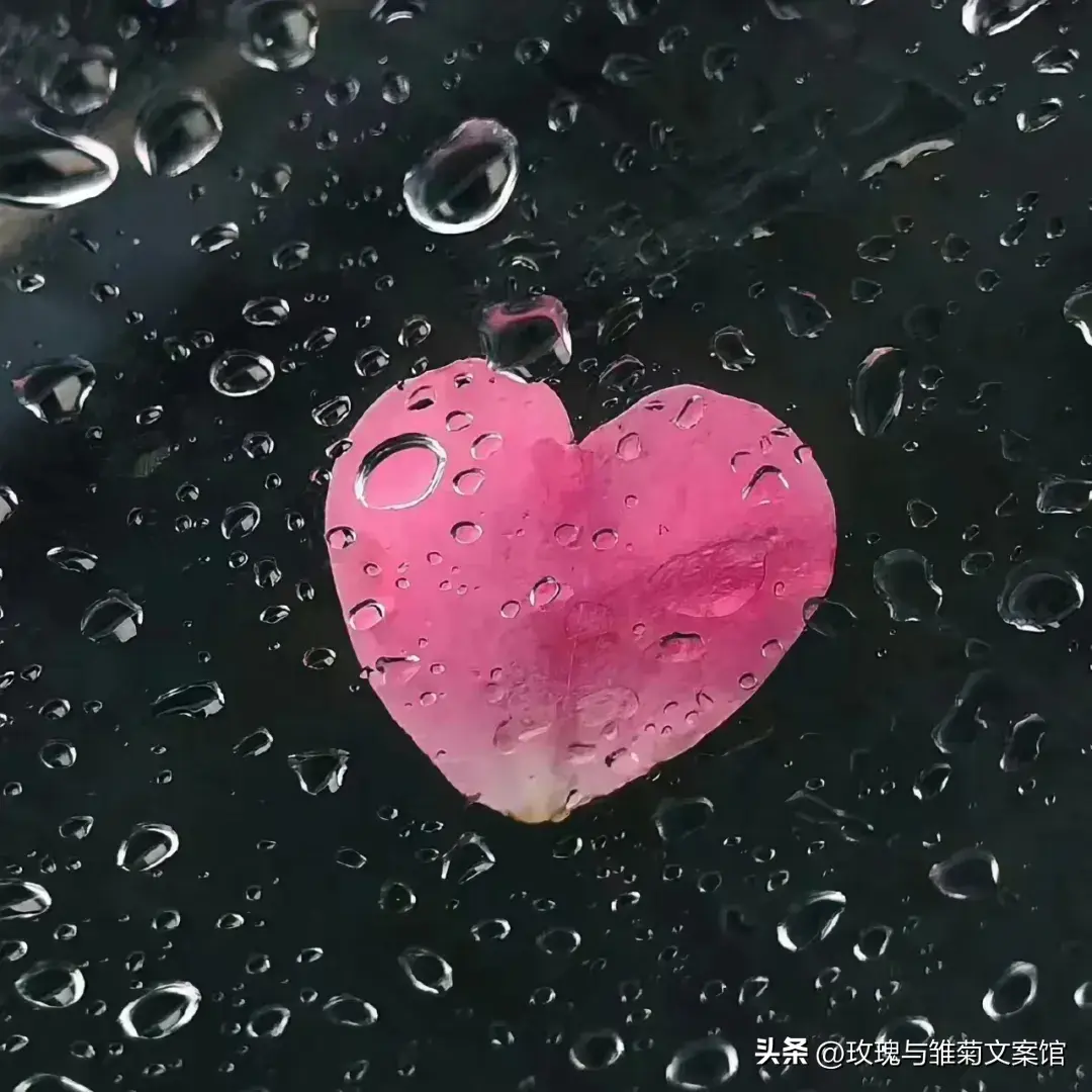 文案|关于一家人在一起的暖心文案(图10)