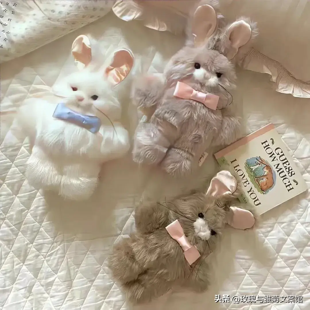 文案|关于一家人在一起的暖心文案(图15)