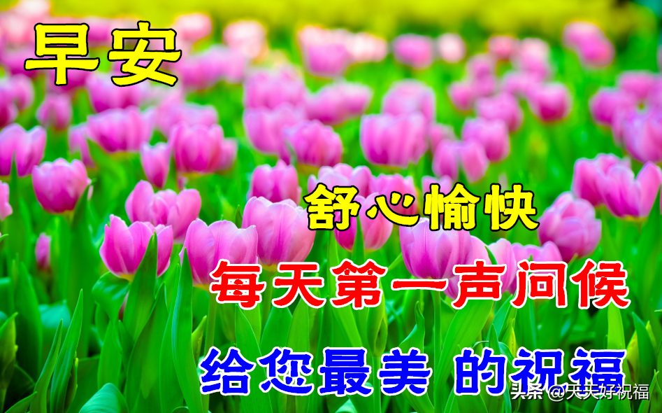 暖心的早上好图片带字，漂亮风景早安问候关心家人朋友的祝福大全(图3)