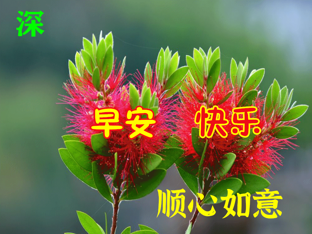 暖心的早上好图片带字，漂亮风景早安问候关心家人朋友的祝福大全(图5)