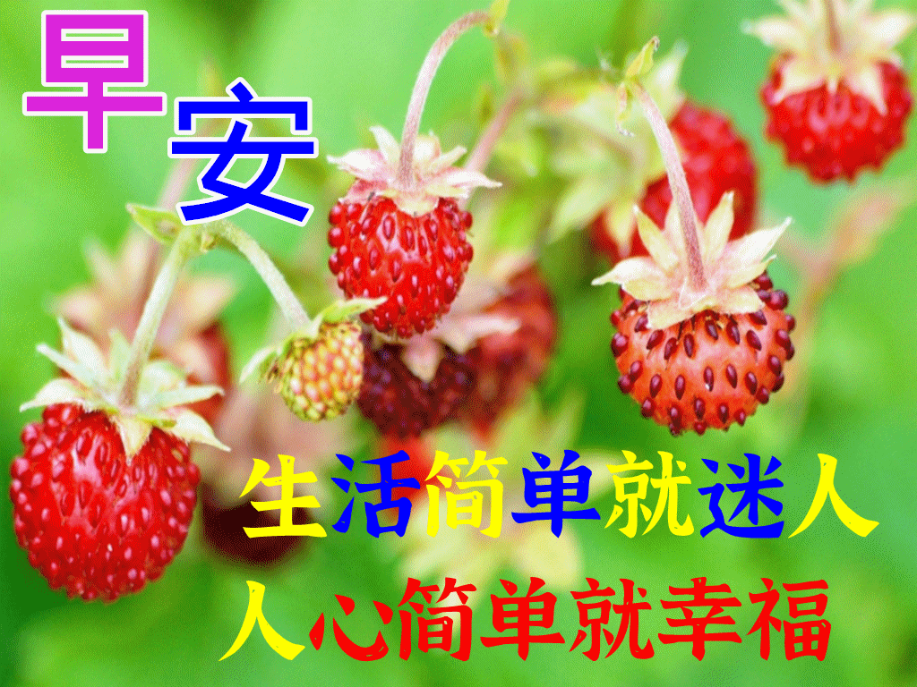 暖心的早上好图片带字，漂亮风景早安问候关心家人朋友的祝福大全(图8)