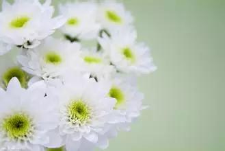 英语写作必备：谚语100条(图3)