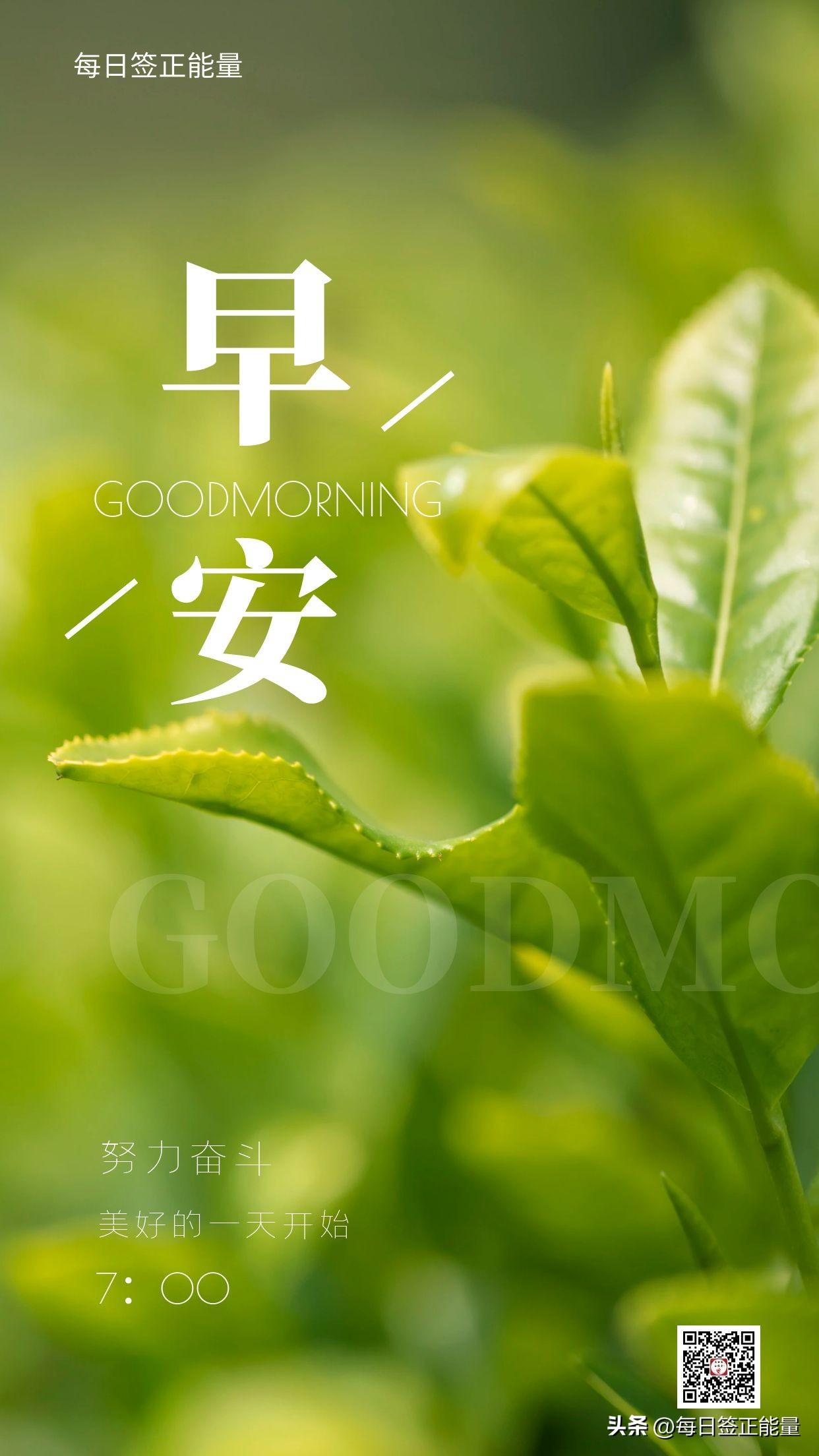 「今日寄语」2023年经典励志早安正能量金句，句句配图充满阳光(图2)