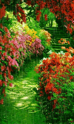 绝美的风景，山清水秀，花香鸟语，人间仙境(图3)