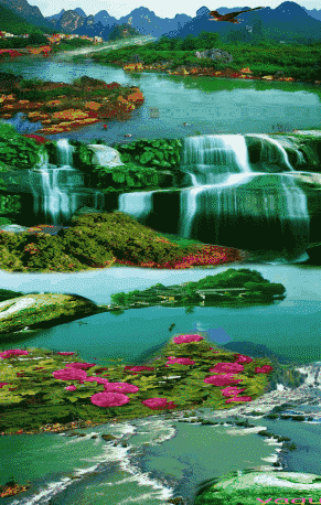 绝美的风景，山清水秀，花香鸟语，人间仙境(图10)