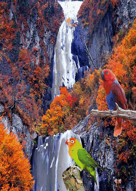 绝美的风景，山清水秀，花香鸟语，人间仙境(图13)