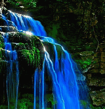 绝美的风景，山清水秀，花香鸟语，人间仙境(图14)