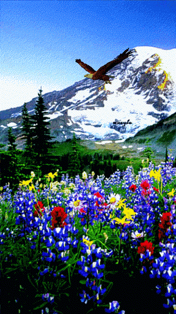 绝美的风景，山清水秀，花香鸟语，人间仙境(图15)