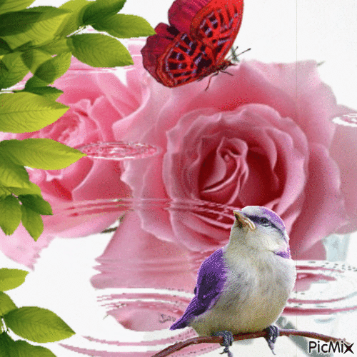 绝美的风景，山清水秀，花香鸟语，人间仙境(图23)