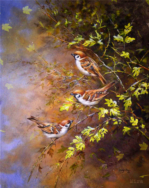 绝美的风景，山清水秀，花香鸟语，人间仙境(图24)