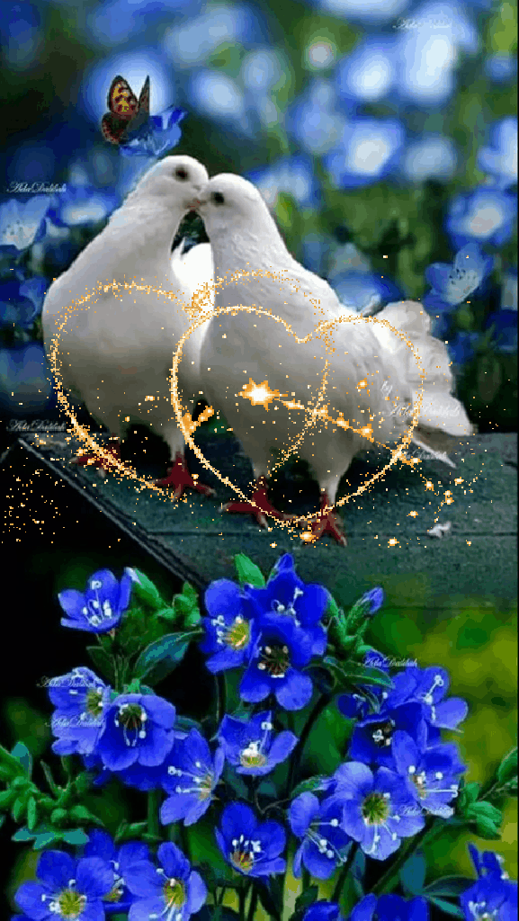 绝美的风景，山清水秀，花香鸟语，人间仙境(图25)