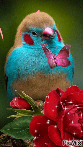 绝美的风景，山清水秀，花香鸟语，人间仙境(图27)