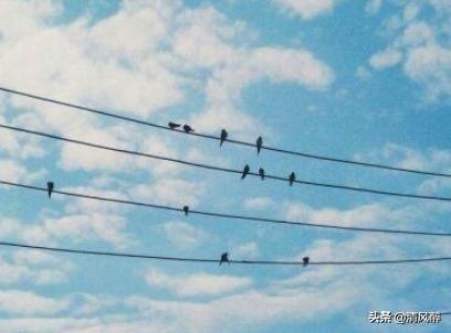 早安调皮搞笑说说句子(图1)