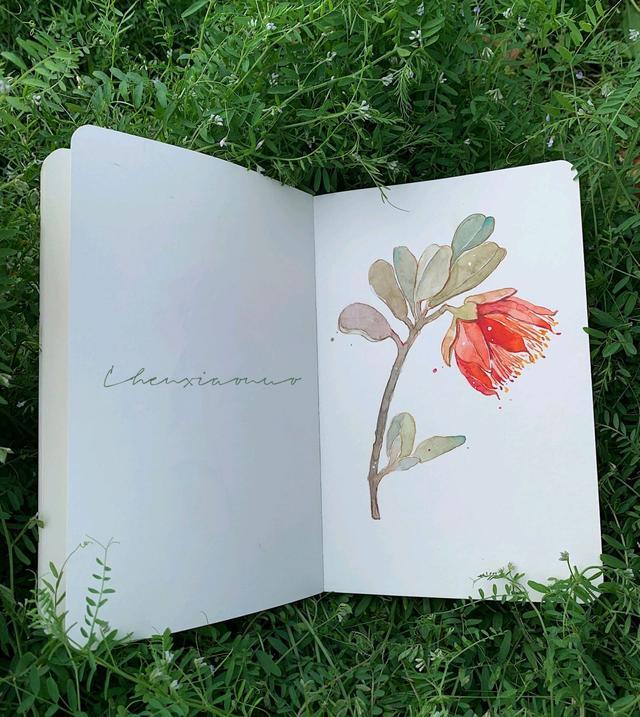 16个关于早安的搞笑句子，可爱有趣，发朋友圈点赞超高(图1)