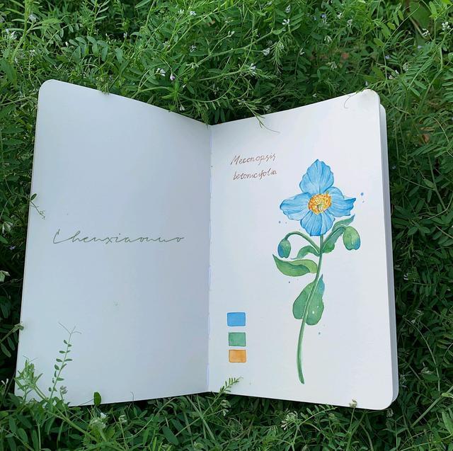 16个关于早安的搞笑句子，可爱有趣，发朋友圈点赞超高(图2)