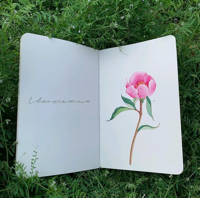 16个关于早安的搞笑句子，可爱有趣，发朋友圈点赞超高(图3)