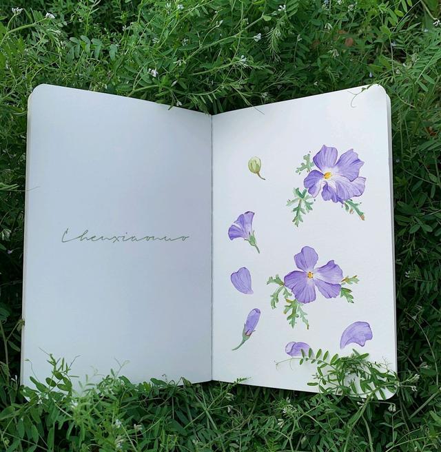 16个关于早安的搞笑句子，可爱有趣，发朋友圈点赞超高(图5)