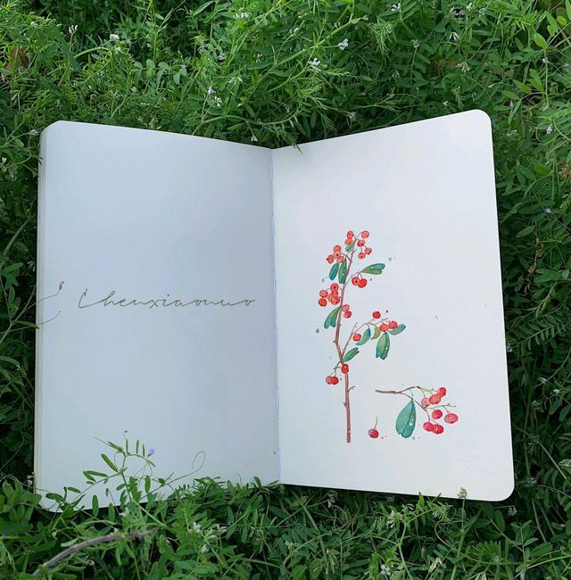 16个关于早安的搞笑句子，可爱有趣，发朋友圈点赞超高(图6)