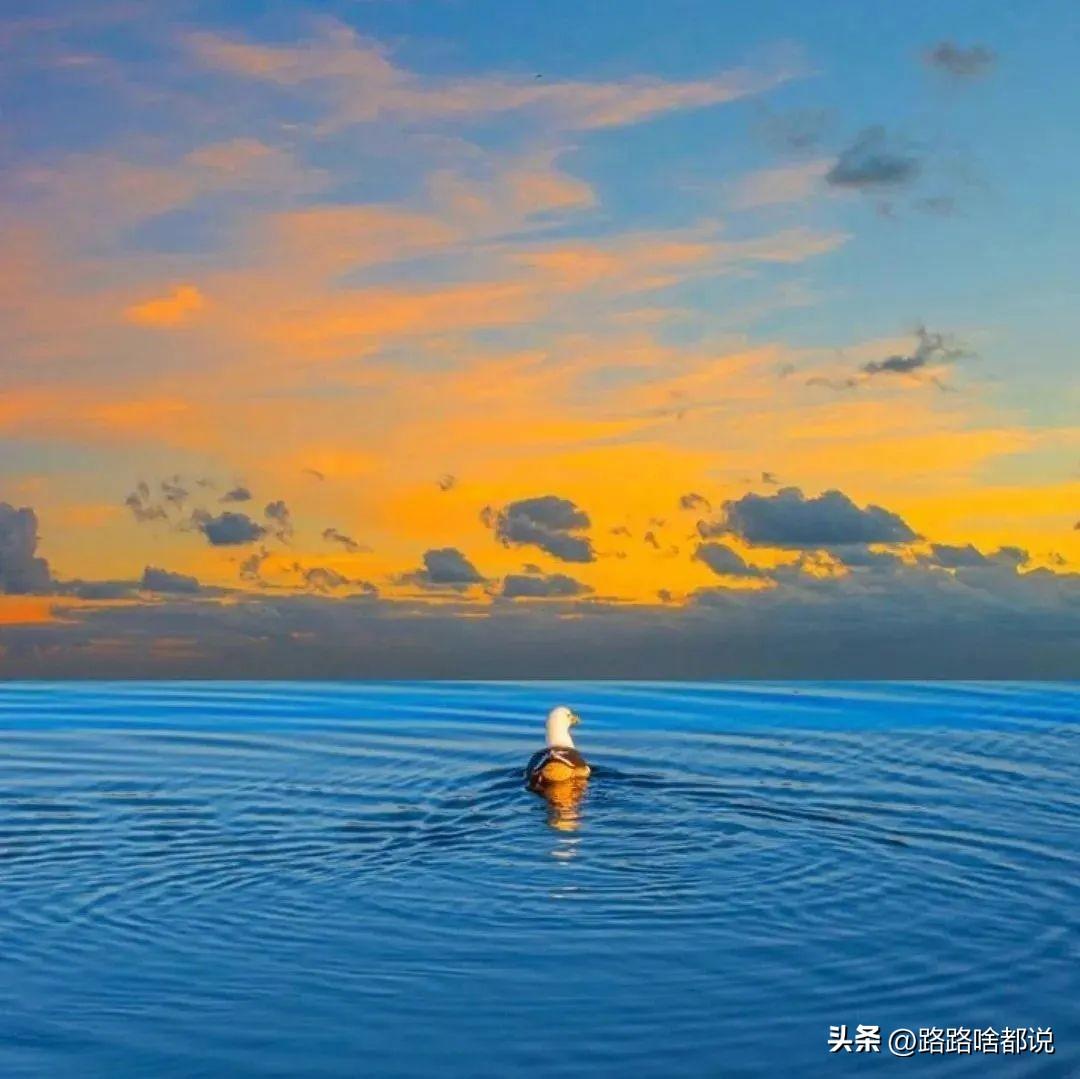 早上起不来的搞笑幽默文案(图3)