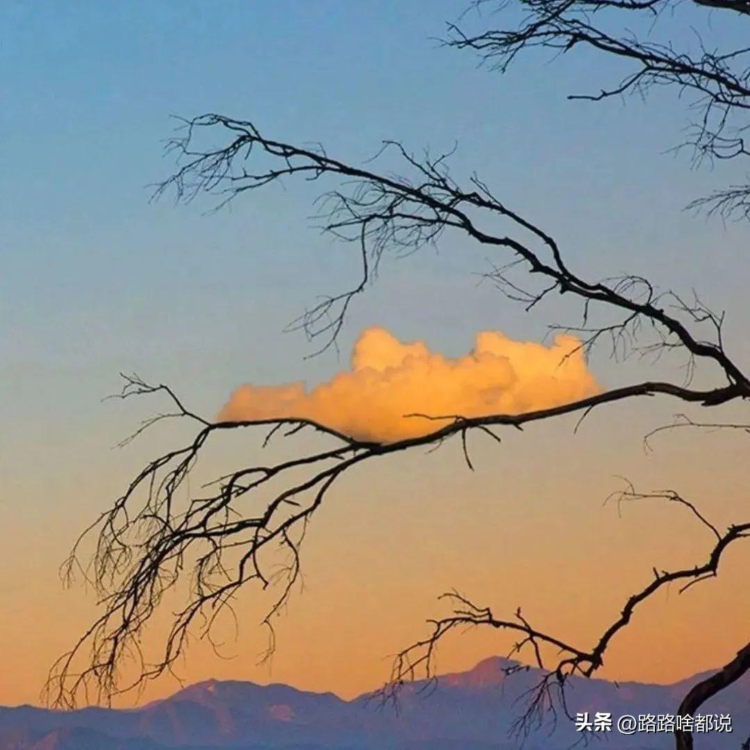 早上起不来的搞笑幽默文案(图6)