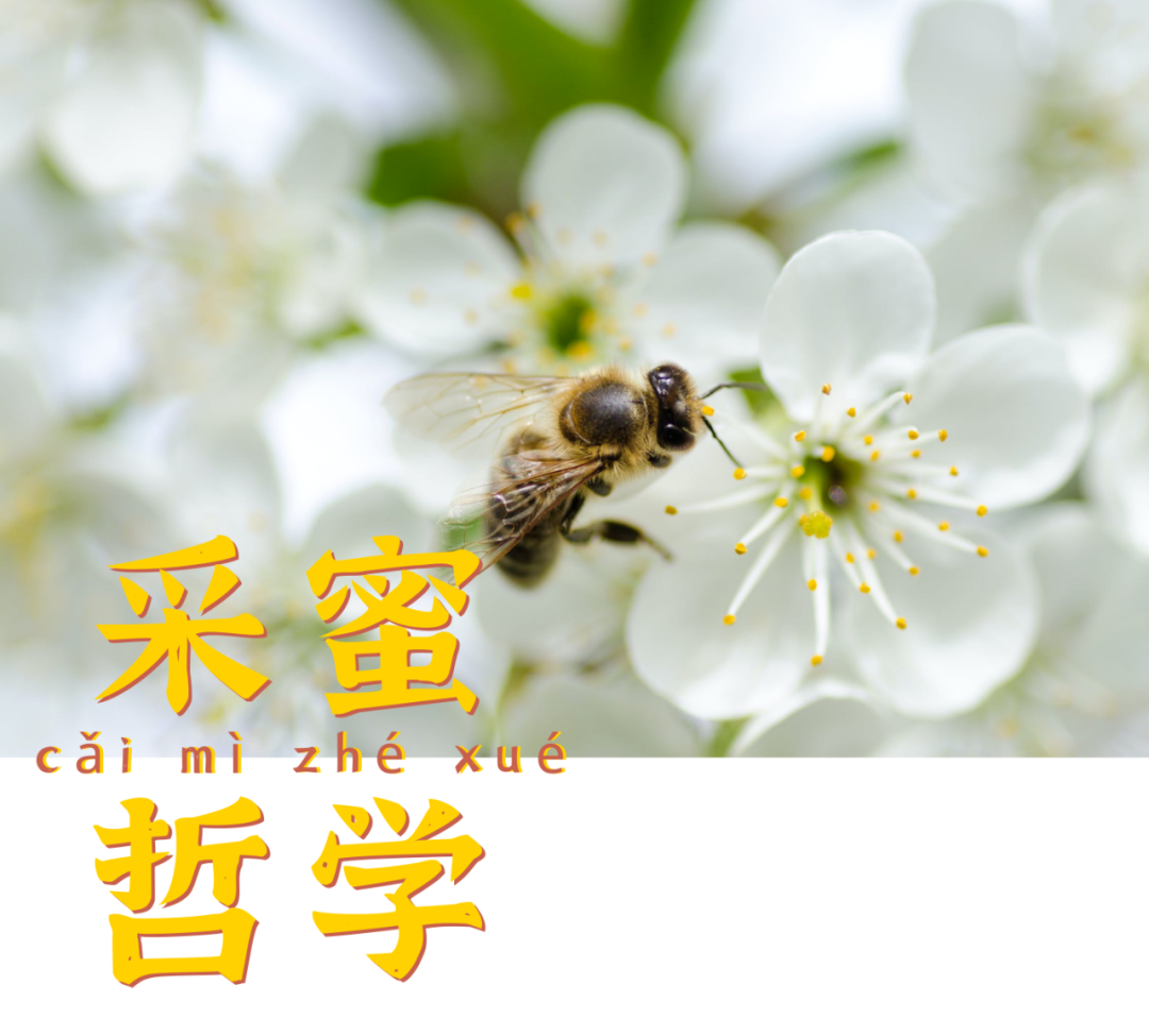 我的采蜜哲学：一是物质，二是关系，三是精神(图1)