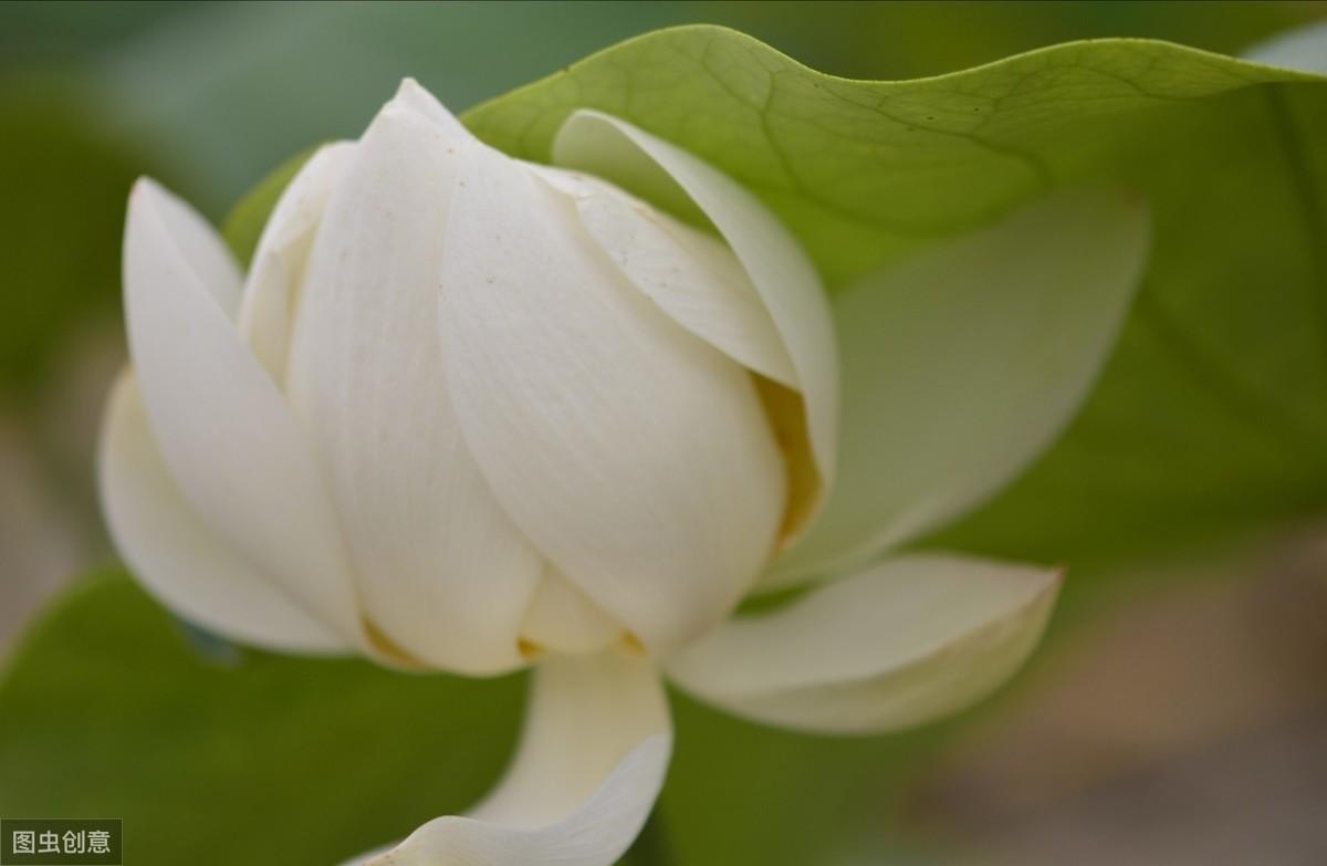 “千古第一等人”王阳明经典句子(图2)