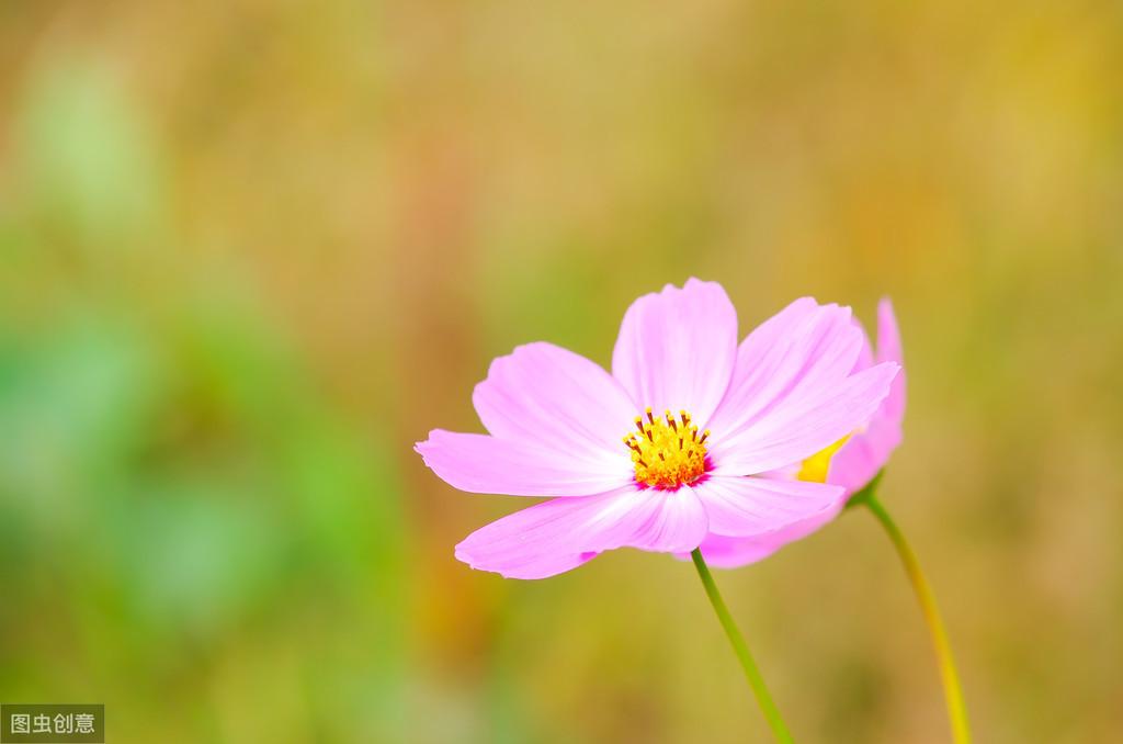 “千古第一等人”王阳明经典句子(图4)