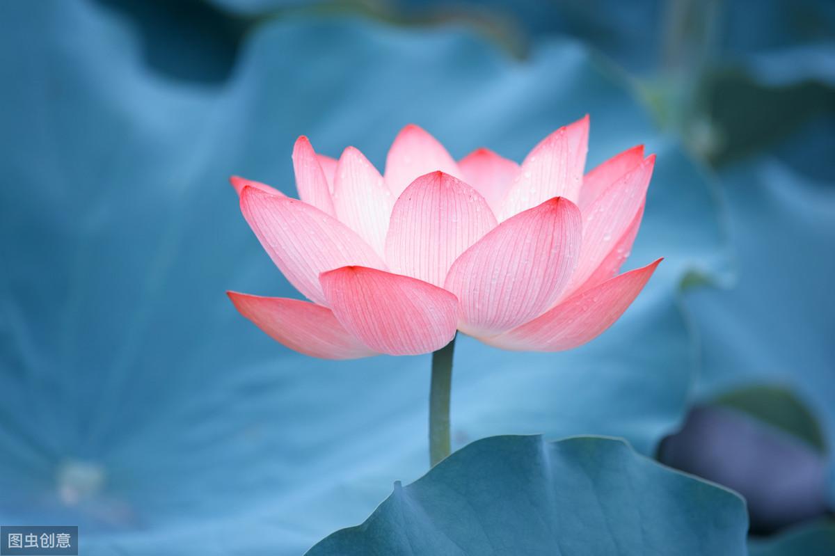 王阳明心学金句10则，充满智慧和哲思，值得收藏(图1)