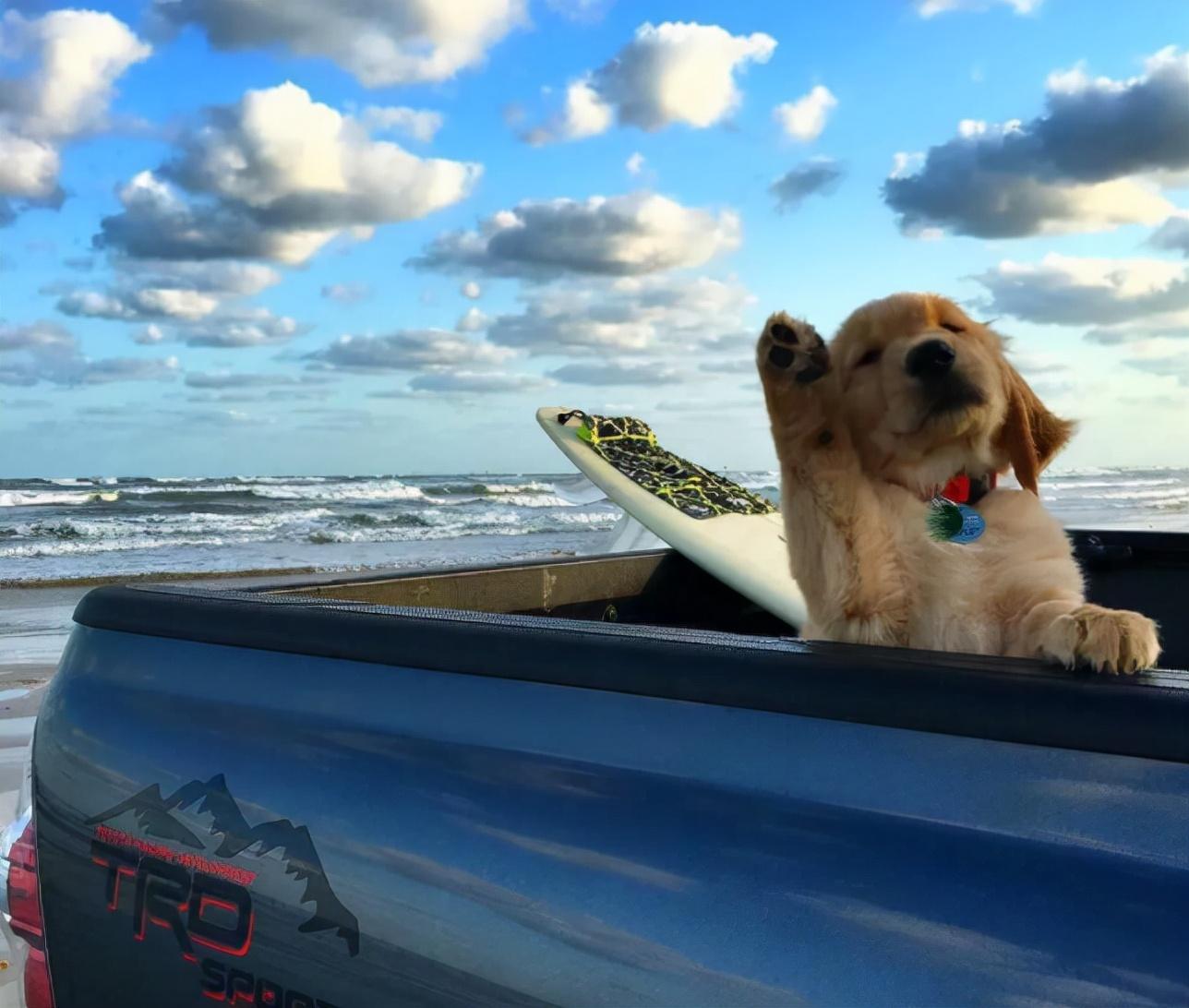 高级有深度有内涵的朋友圈文案(图3)