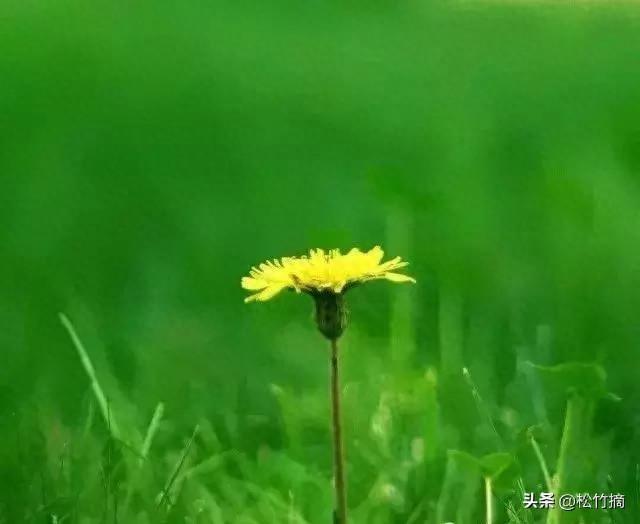 努力拼搏奋斗短句（精选58句）(图1)