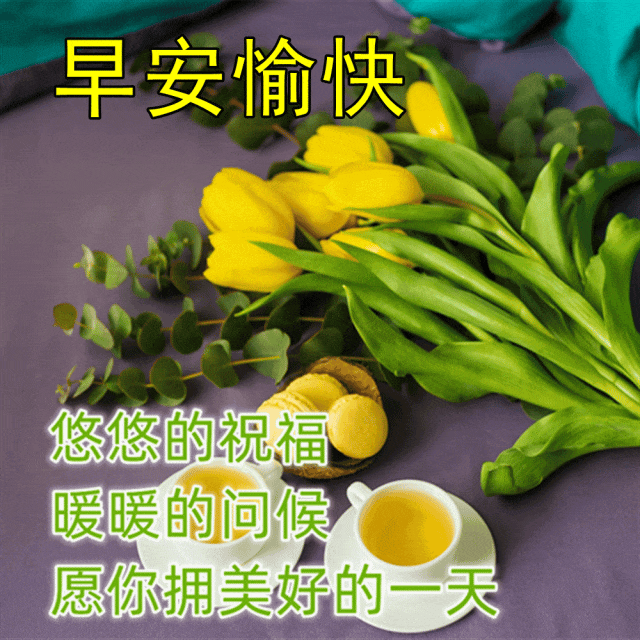 激励人奋斗的早安正能量句子，温暖治愈的早上好唯美问候语(图3)