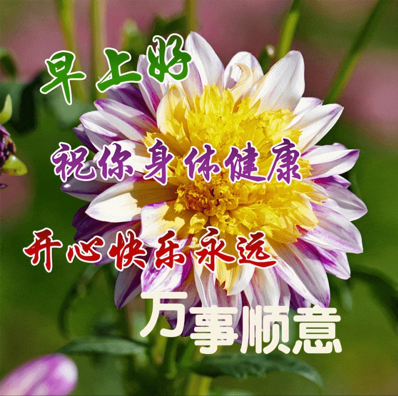 激励人奋斗的早安正能量句子，温暖治愈的早上好唯美问候语(图6)