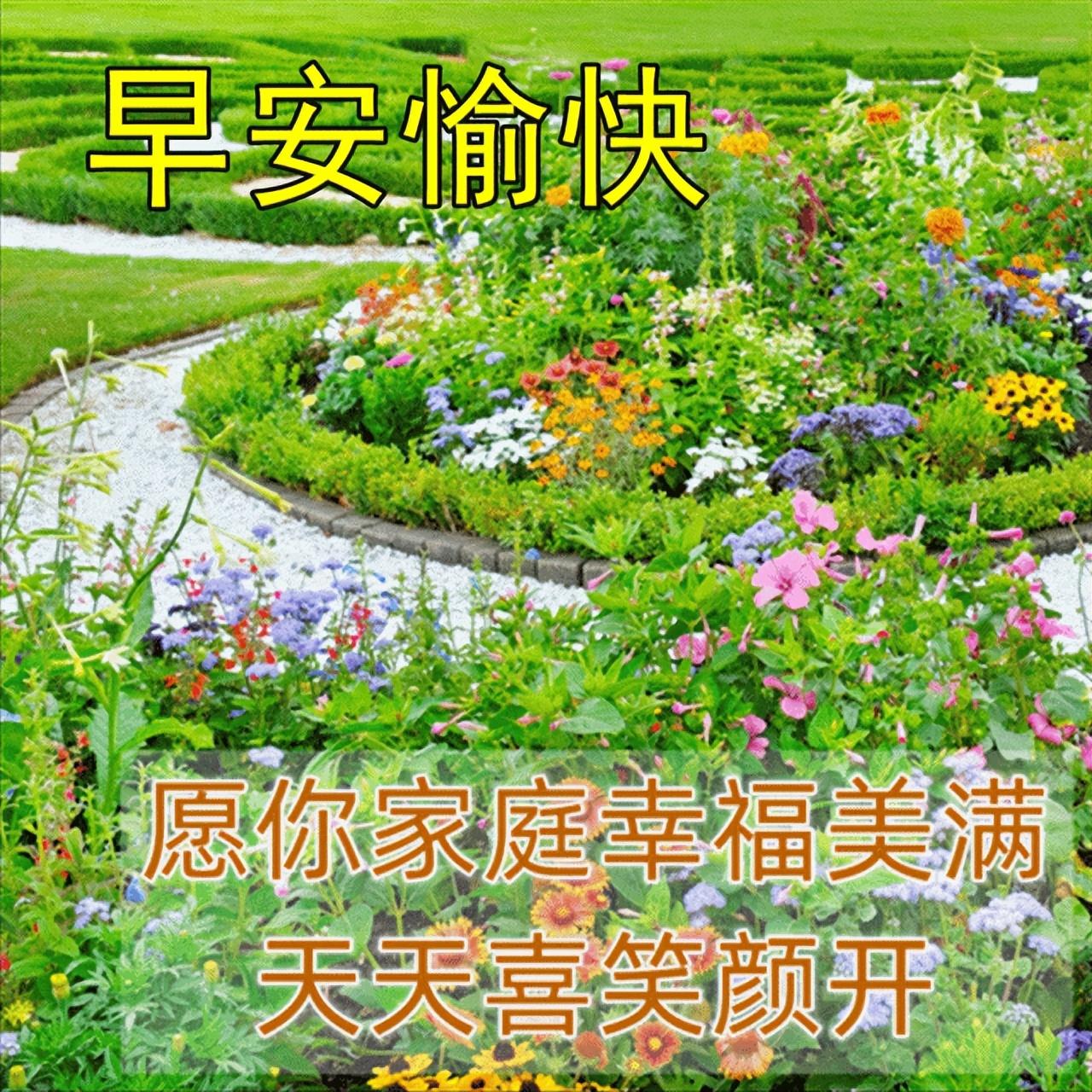 激励人奋斗的早安正能量句子，温暖治愈的早上好唯美问候语(图7)