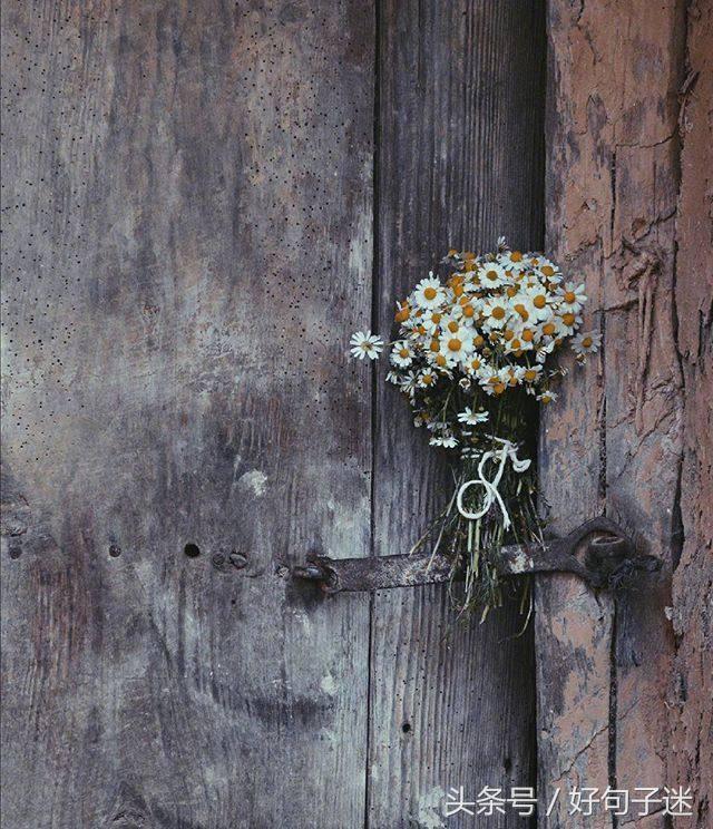 优美的句子摘抄简短，句句让人一看就倾心！(图1)