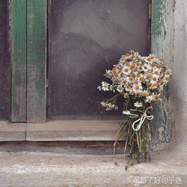 优美的句子摘抄简短，句句让人一看就倾心！(图3)