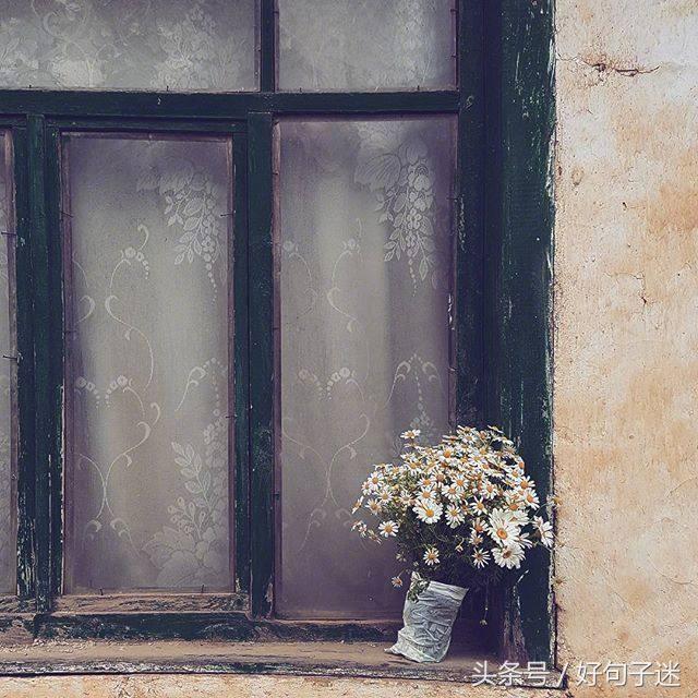 优美的句子摘抄简短，句句让人一看就倾心！(图5)