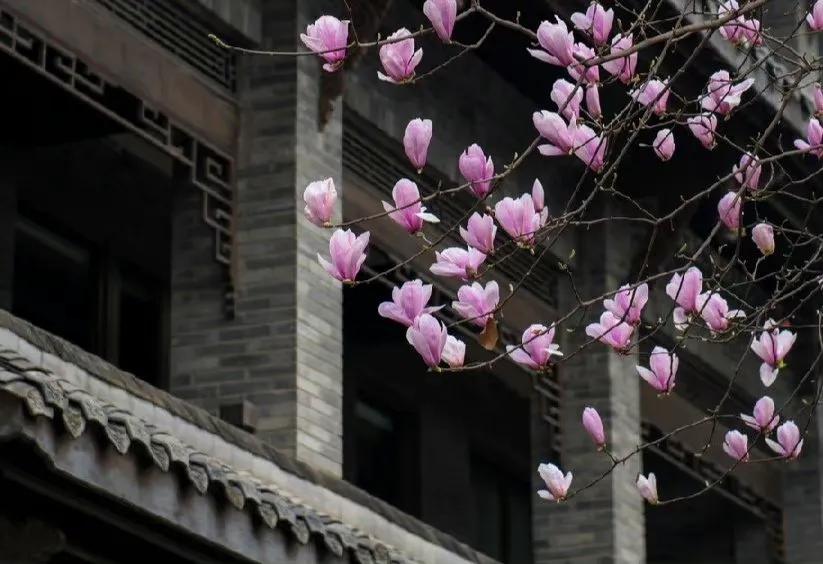 50句适合摘抄的句子，赶紧收藏吧(图1)