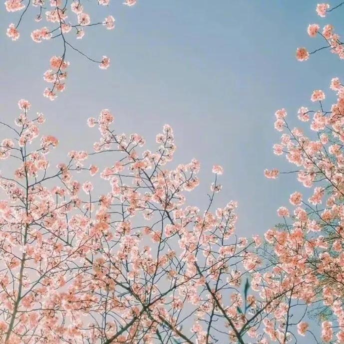 50句适合摘抄的句子，赶紧收藏吧(图3)