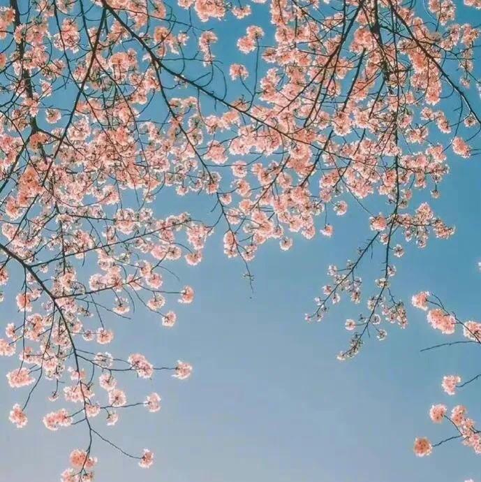 50句适合摘抄的句子，赶紧收藏吧(图4)