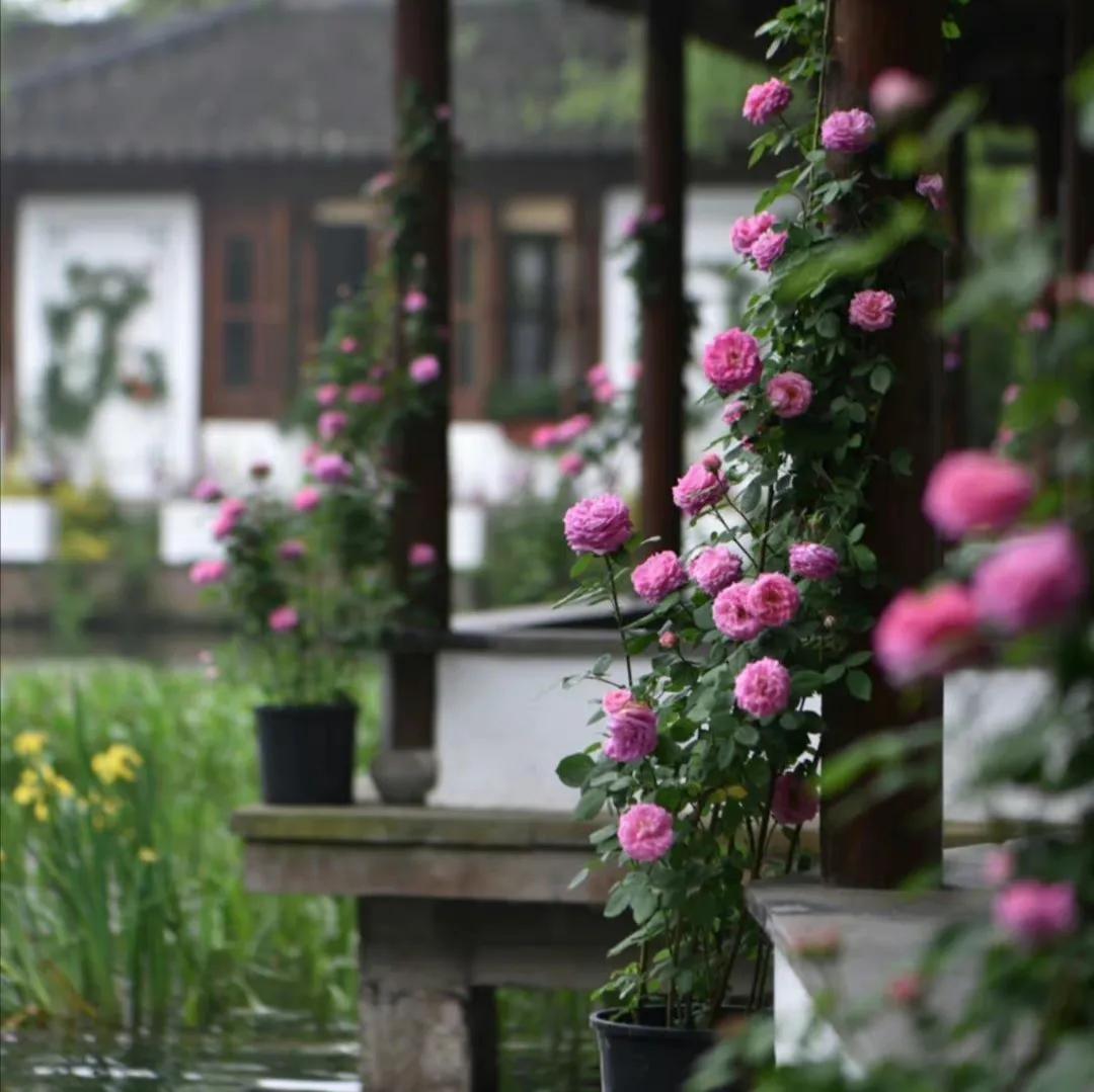 50句适合摘抄的句子，赶紧收藏吧(图6)