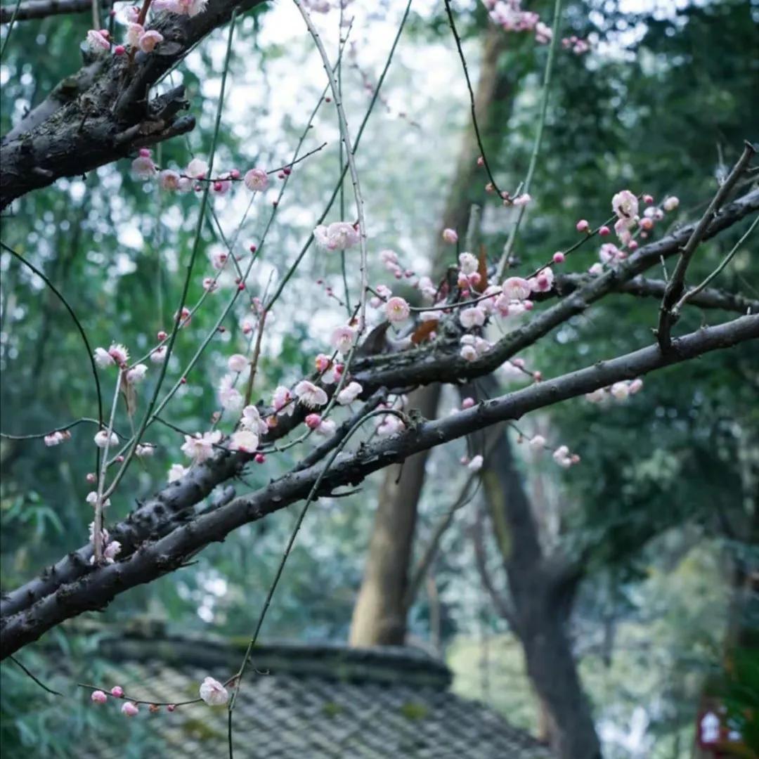 50句适合摘抄的句子，赶紧收藏吧(图7)