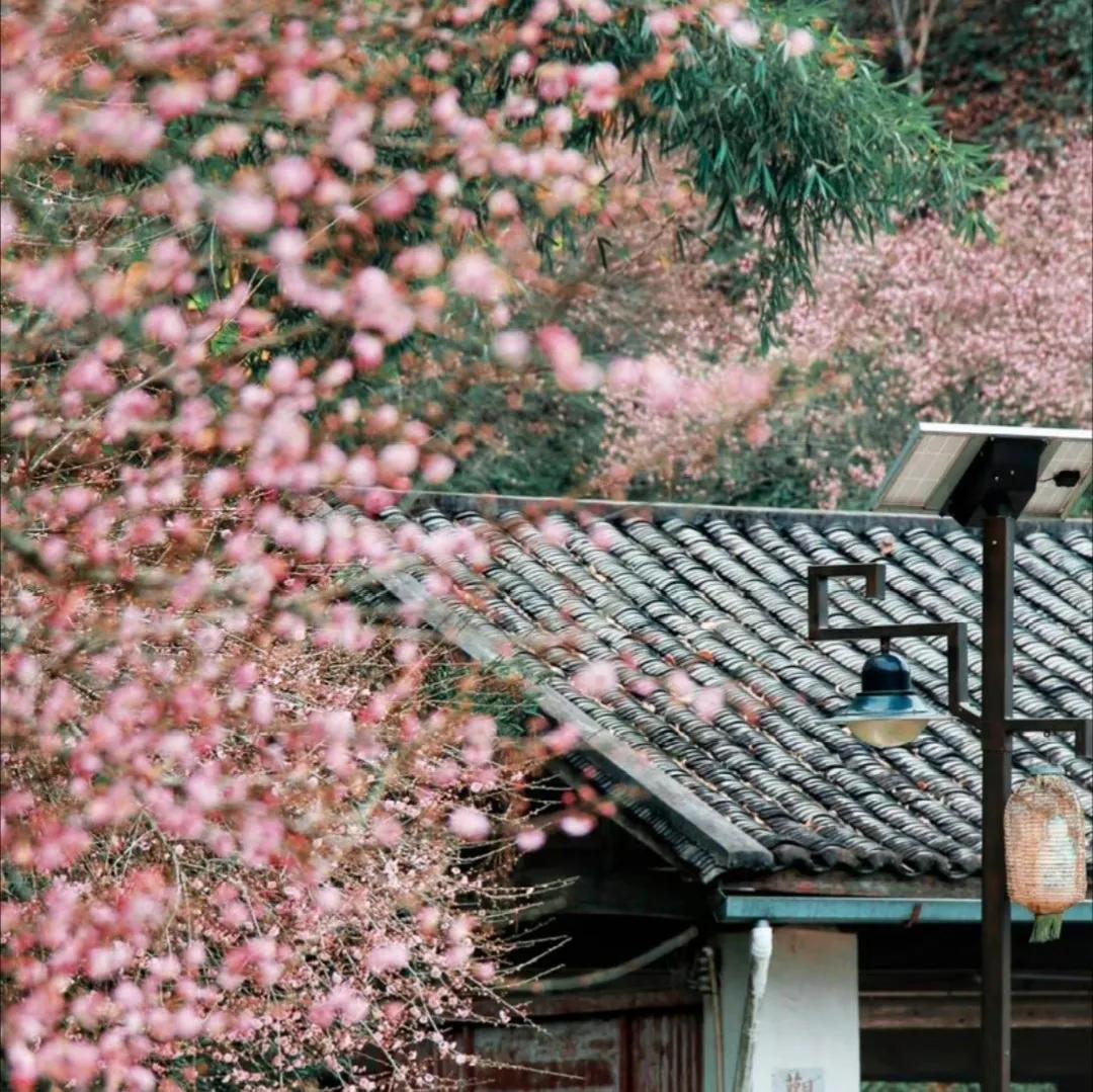 50句适合摘抄的句子，赶紧收藏吧(图8)