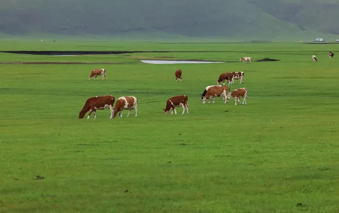 学习心得｜青青禾苗 得水之润(图3)