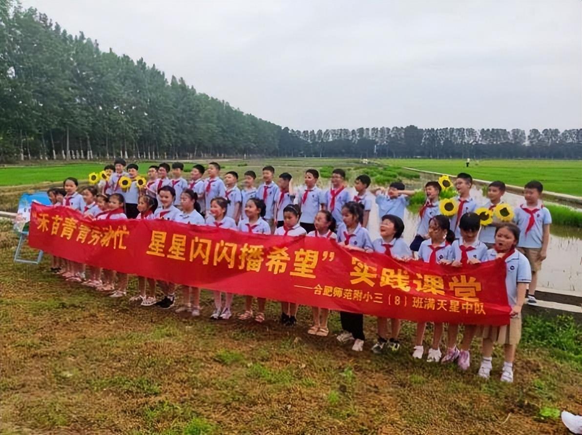 禾苗青青劳动忙 星星闪闪播希望——合肥师范附小劳动主题活动(图1)