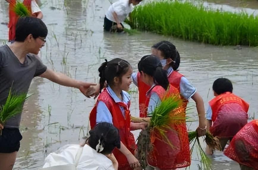 禾苗青青劳动忙 星星闪闪播希望——合肥师范附小劳动主题活动(图4)